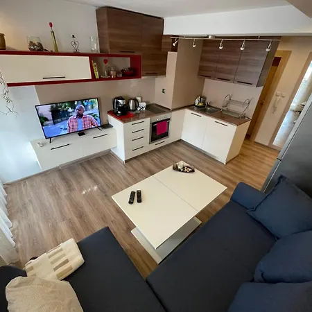 Premium Nomad's Suite-near Subway-terrace 公寓